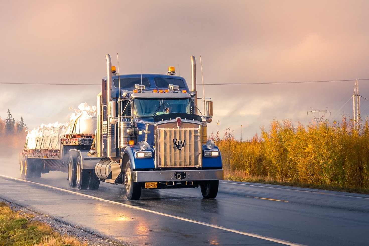 Navigating Complex International Trade Regulations Easily